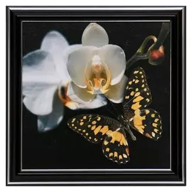 Картина "Белый цветок" 18х18(21,5х21,5) см