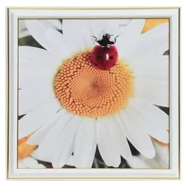 Картина "Божья коровка на цветке" 25х25(28х28) см