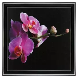 Картина "Цветочек" 25х25(28х28) см