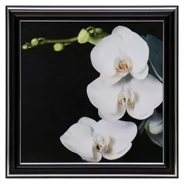 Картина "Цветок" 18х18(21,5х21,5) см