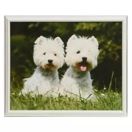 Картина "Друзья" 35х28 (38*31) см