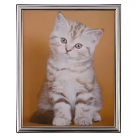 Картина "Котенок" 30х39 см