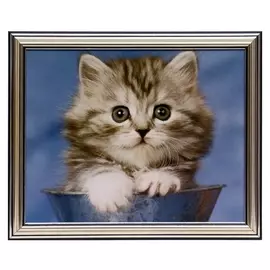 Картина "Котёнок" 20х25(23,5х28,5) см