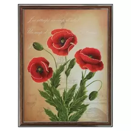 Картина "Красные маки" 33*43 см