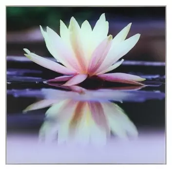 Картина "Кувшинка на воде" 30*30 см