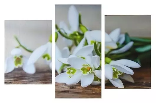 Картина модульная на подрамнике "Подснежники" 99*65 см