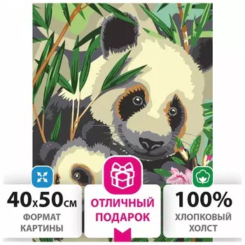 Картина по номерам 40х50 см, остров сокровищ "Панды", на подрамнике, акриловые краски, 3 кисти, 662471