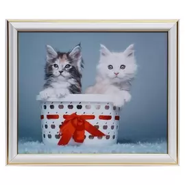 Картина "Пушистики" 20х25(23,5х28,5) см