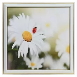Картина "Ромашка" 25х25(28х28) см
