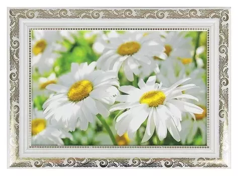 Картина "Ромашки", рама