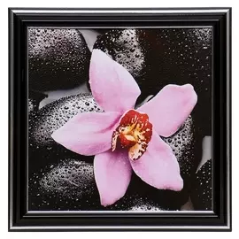 Картина "Розовая орхидея" 18х18(21,5х21,5) см