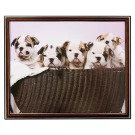 Картина "Щенята" 35х28 (38х31) см