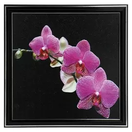 Картина "Веточка цветка" 25х25(28х28) см