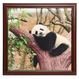 Картина велюр "Панда. отдых" 46х46 см