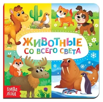 Картонная книга «Животные со всего света», 10 стр.