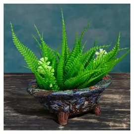 Кашпо-бонсайница овальное 4,5*12*6см