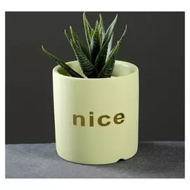 Кашпо "Цилиндр", 8*8*8см