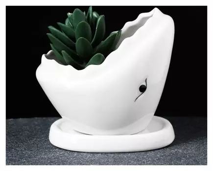 Кашпо фигурное "Акула" 11*7*10см белое