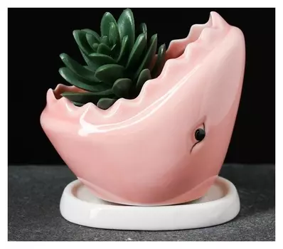 Кашпо фигурное "Акула" 11*7*10см розовое