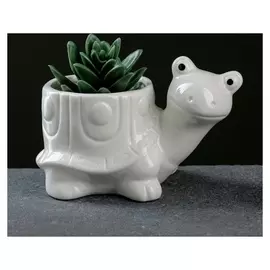 Кашпо фигурное "Черепашка" 14*8,5*9см