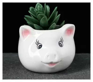 Кашпо фигурное "Голова поросенка" 9*9*7м