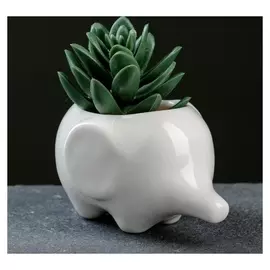 Кашпо фигурное "Слоник" 10*7*6,5см