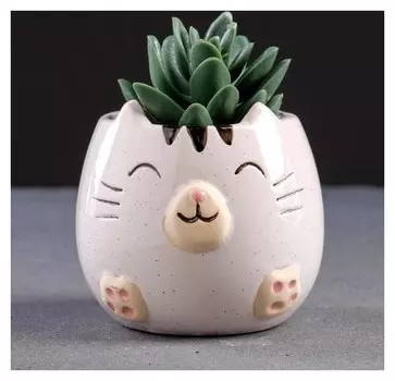 Кашпо керамическое "Котенок" 8*8*8см