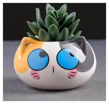 Кашпо керамическое "Котенок" 9*6см