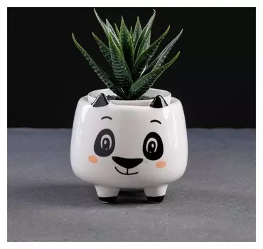 Кашпо керамическое "Панда" 8*8*8см