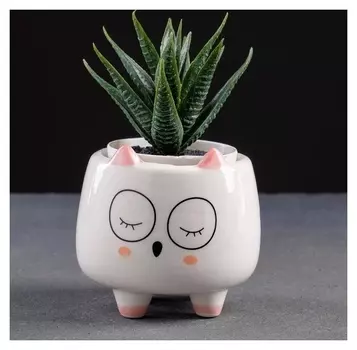 Кашпо керамическое "Совенок" 8*8*8см