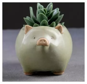 Кашпо керамическое "Свинка" 11*9*8см