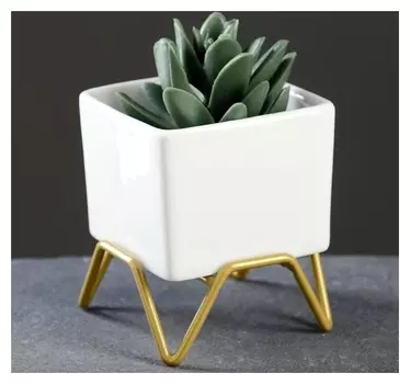 Кашпо "Куб" на подставке, 7х7 см