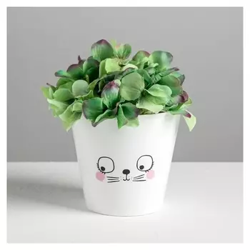 Кашпо «Мордочка», 0,8 л