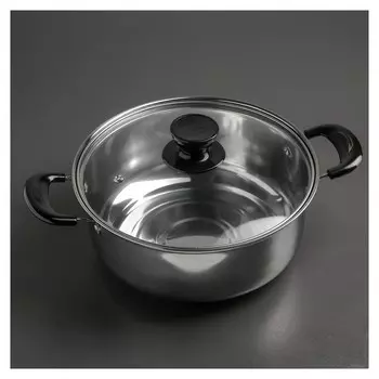 Кастрюля со стеклянной крышкой Promo 22х9 см