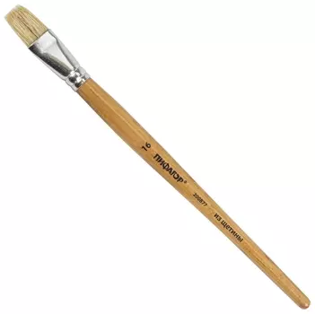 Кисть пифагор, щетина, плоская, № 16, 200877