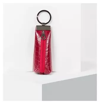 Ключница, отдел на молнии, 2 кольца внутри, цвет красный