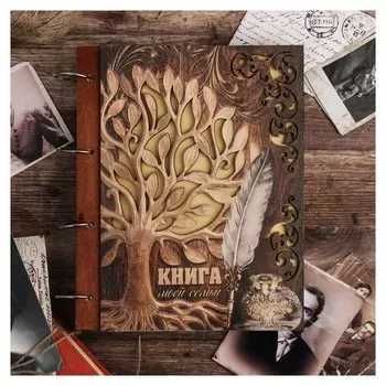 Книга моей семьи "Перо", 20 х 25 см