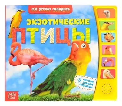 Книга с музыкальным чипом «Экзотические птицы», 12 стр.