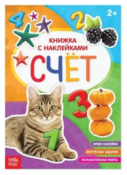 Книга с наклейками «Счёт», 12 стр.