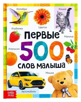 Книга в твёрдом переплёте «Первые 500 слов малыша», 80 стр.