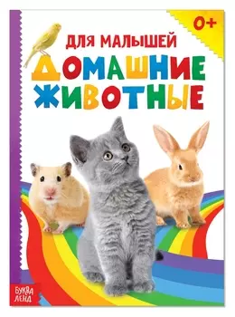 Книжка картонная «Домашние животные», 10 стр.