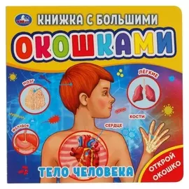 Книжка с большими окошками «Тело человека»