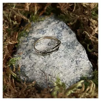 Кольцо-амулет «Объятия ящера», латунь