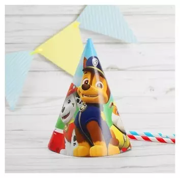 Колпаки «Щенячий патруль»