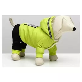 Комбинезон Dog Care, размер S (ДС 23, ОШ 22, ОГ 33 см), зелёный