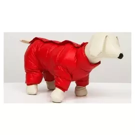 Комбинезон на кнопках, размер 10 (ДС 25 см, ОГ 34 см, ОШ 24 см), красный