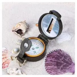 Компас жидкостный, L45-1a