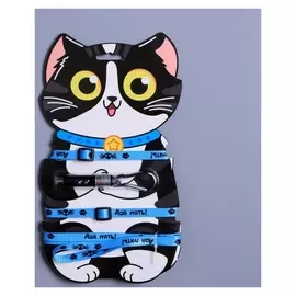 Комплект амуниции и лазер «Дай пять!»