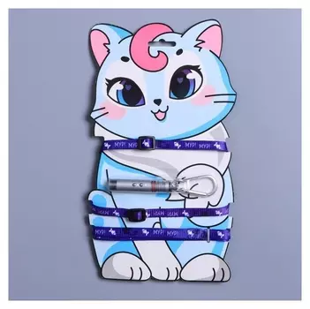 Комплект амуниции и лазер «Мур! мур!»