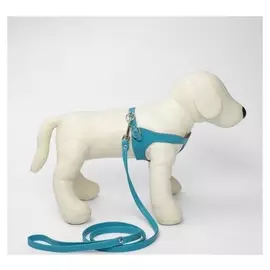 Комплект амуниции из экокожи, бирюзовый